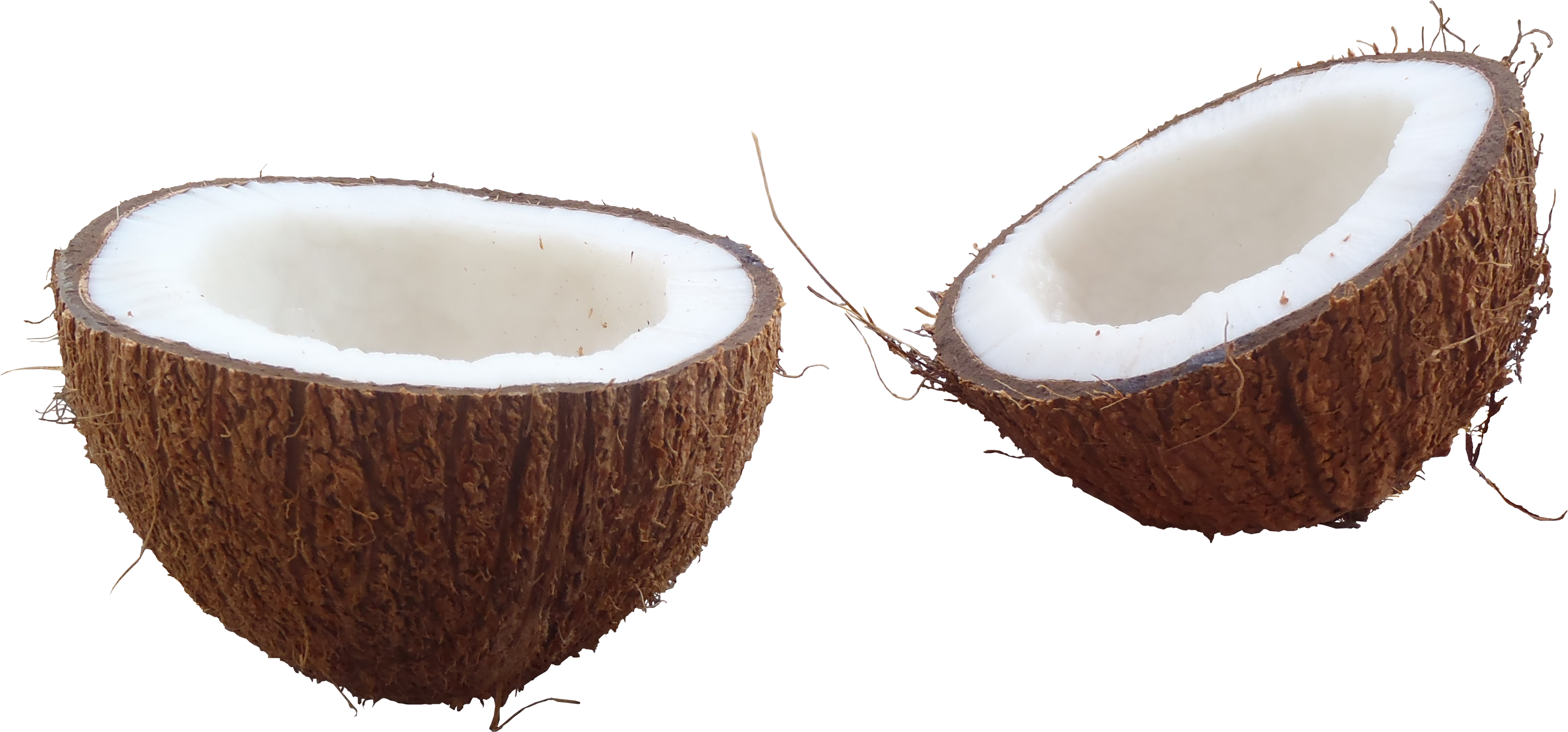 Coconut Transparent PNG Image