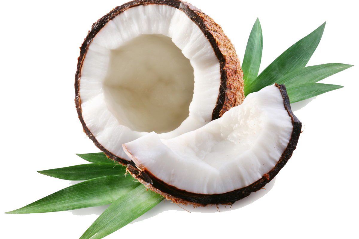 Coconut Transparent PNG Image