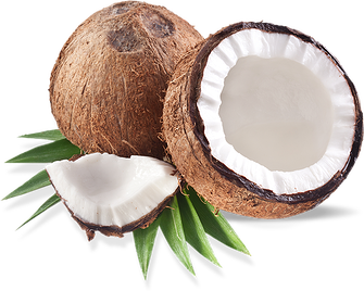 Coconut Transparent PNG Image