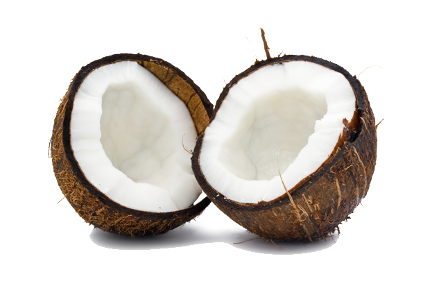 Coconut Transparent PNG Image