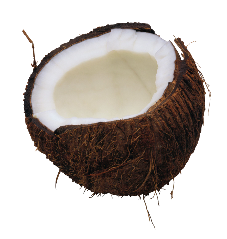 Coconut Transparent PNG Image