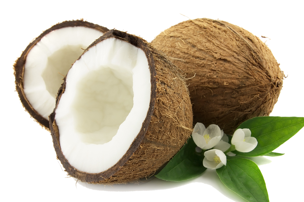 Coconut Transparent PNG Image