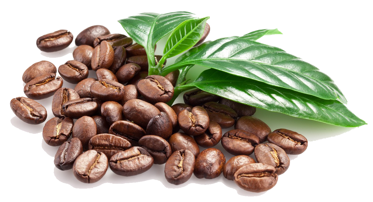 Coffee Beans Transparent PNG Image