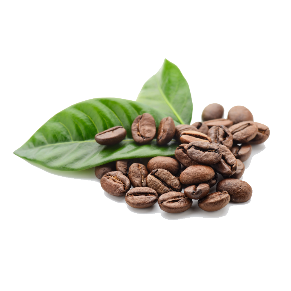Coffee Beans Transparent PNG Image