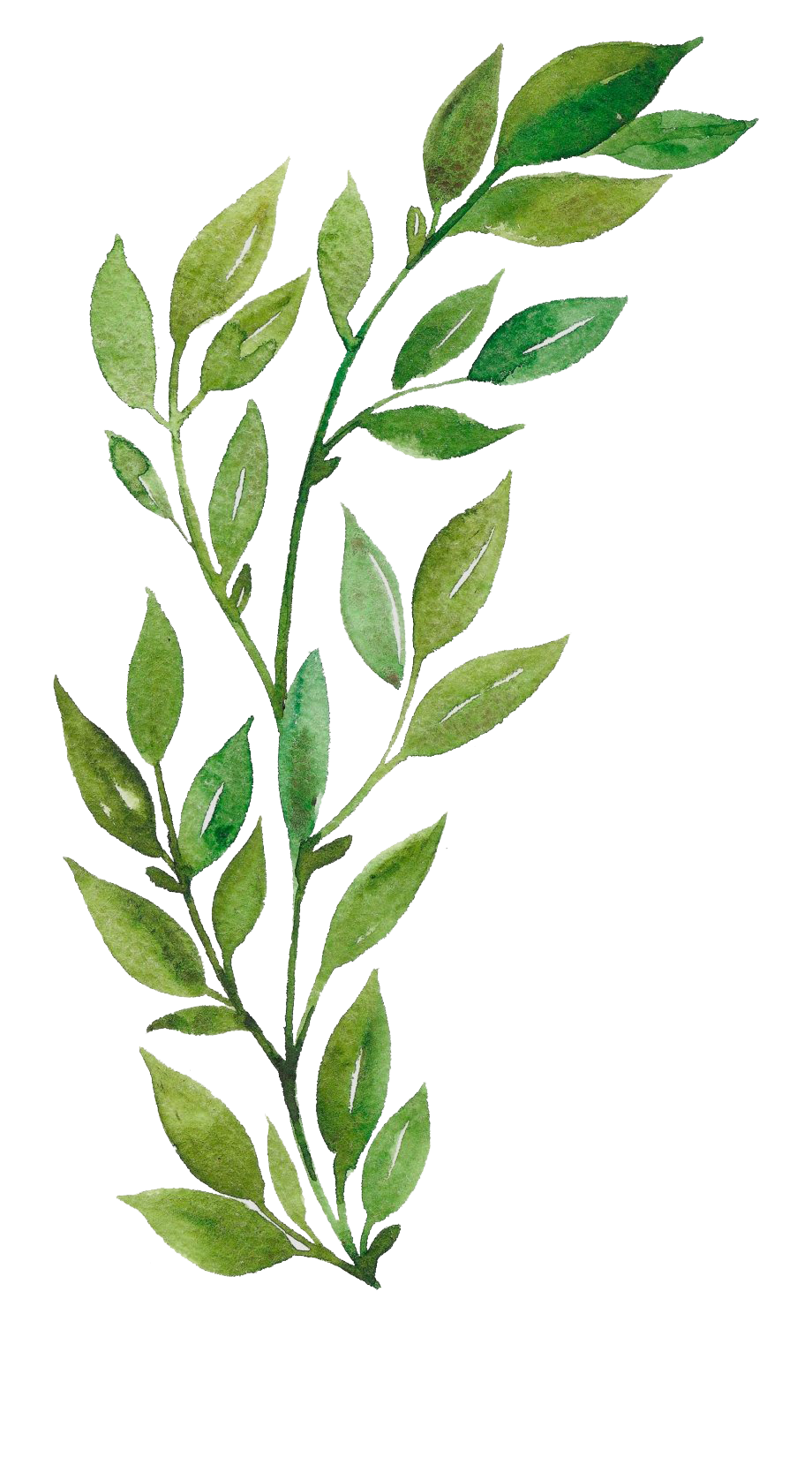 Watercolor Art Transparent PNG Image