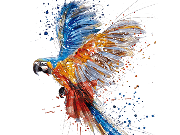 Watercolor Art Bird Transparent PNG Image