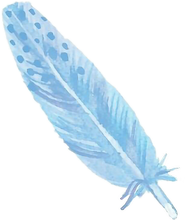 Watercolor Feather Transparent PNG Image