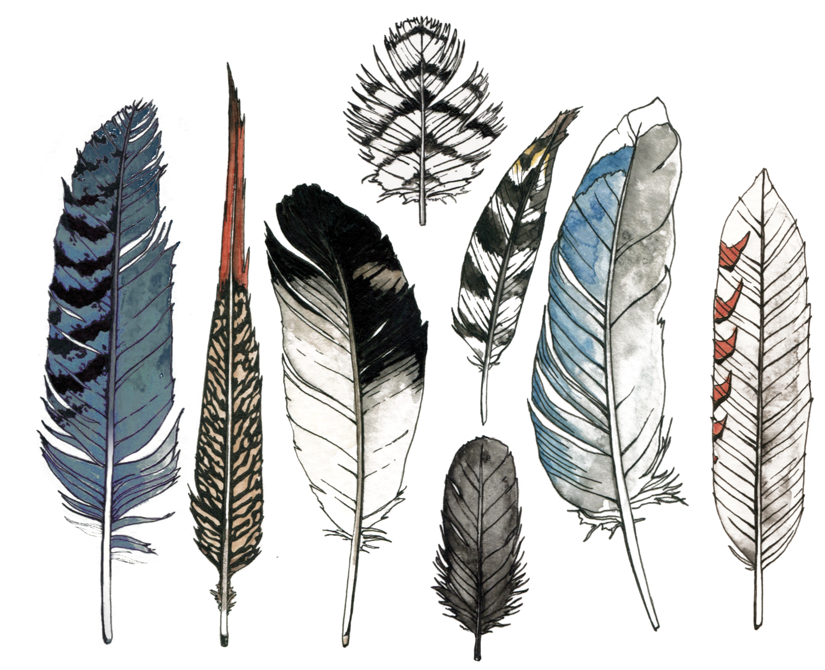 Watercolor Feather Transparent PNG Image