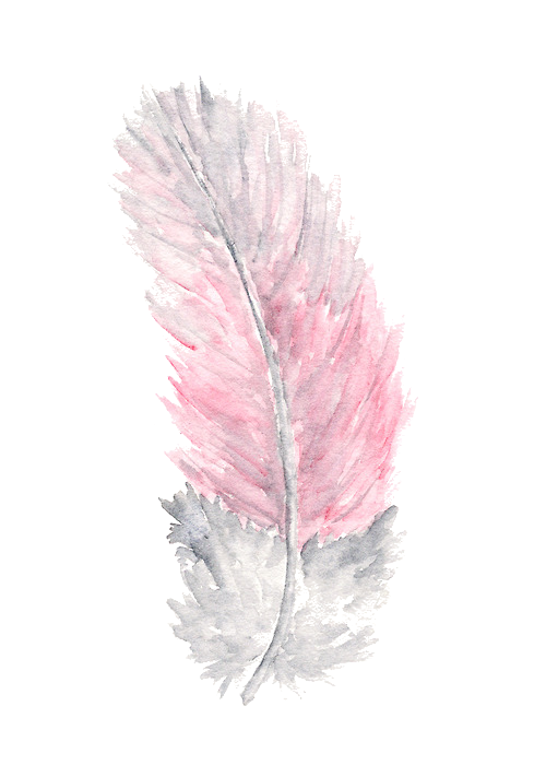 Watercolor Feather Transparent PNG Image