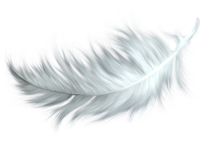 Watercolor Feather File Transparent PNG Image
