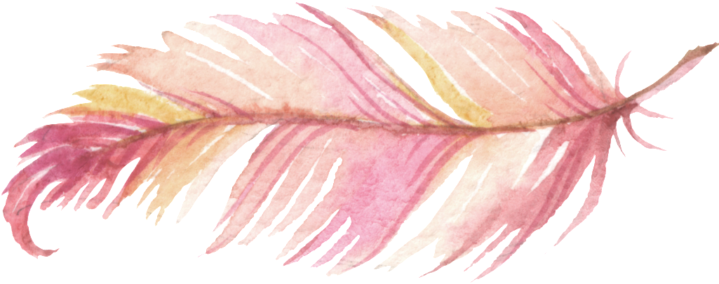 Watercolor Feather Transparent PNG Image