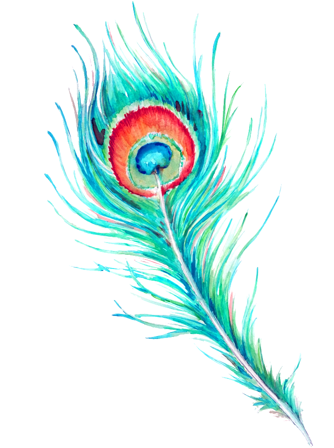 Watercolor Feather Transparent PNG Image