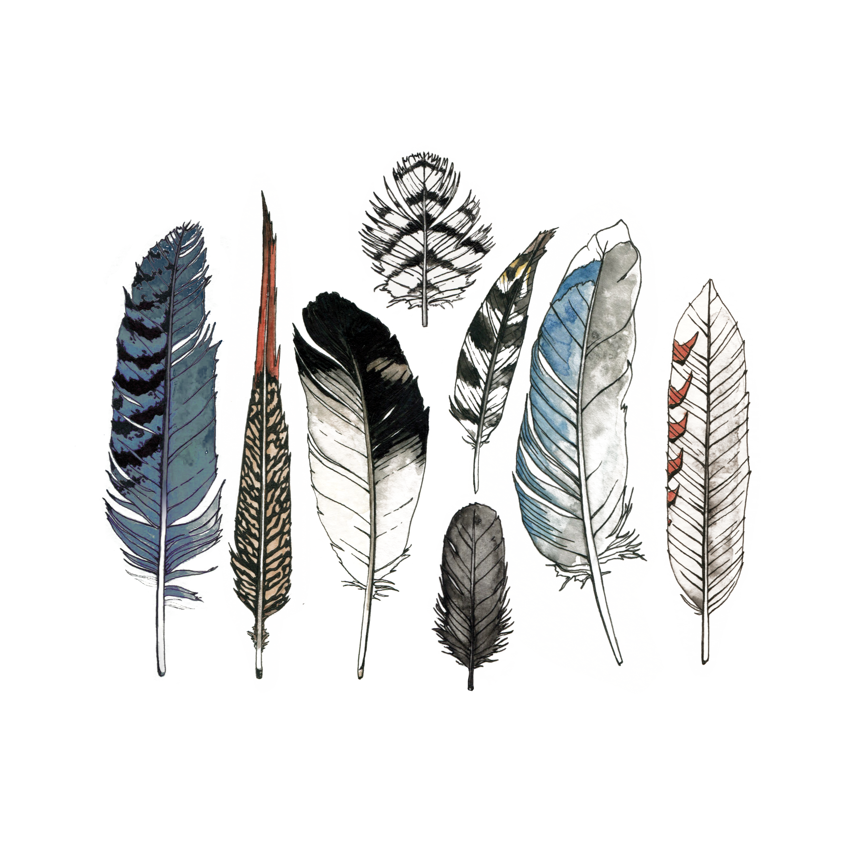 Watercolor Feather Transparent PNG Image