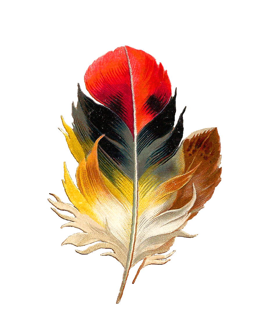 Watercolor Feather Transparent PNG Image