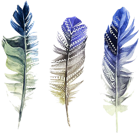 Watercolor Feather Transparent PNG Image