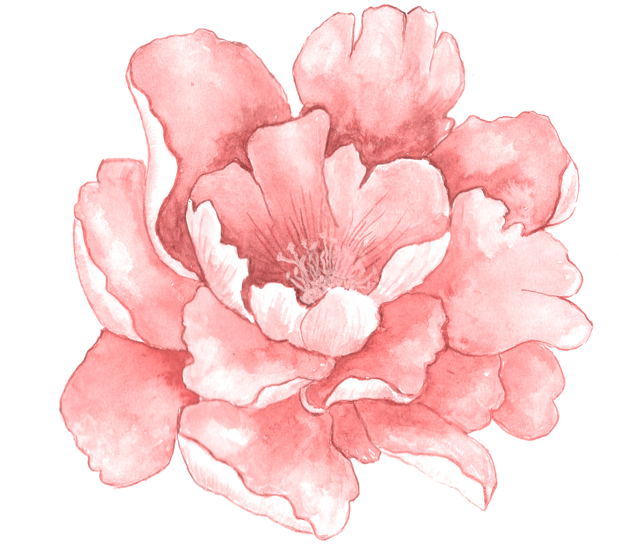 Watercolor Art Transparent PNG Image