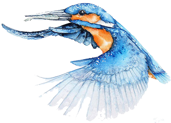 Watercolor Art Transparent PNG Image
