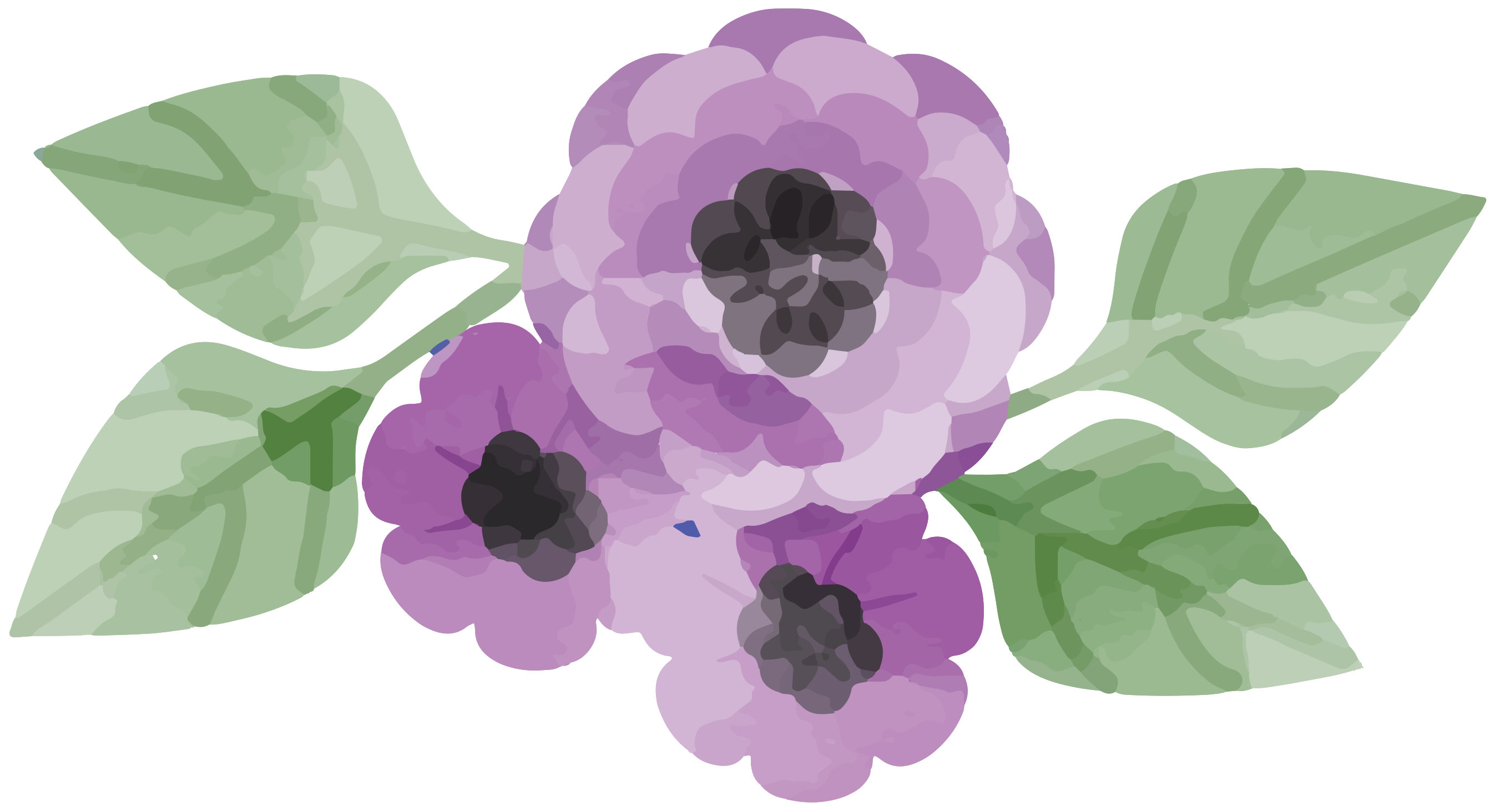 Watercolor Flower Transparent PNG Image