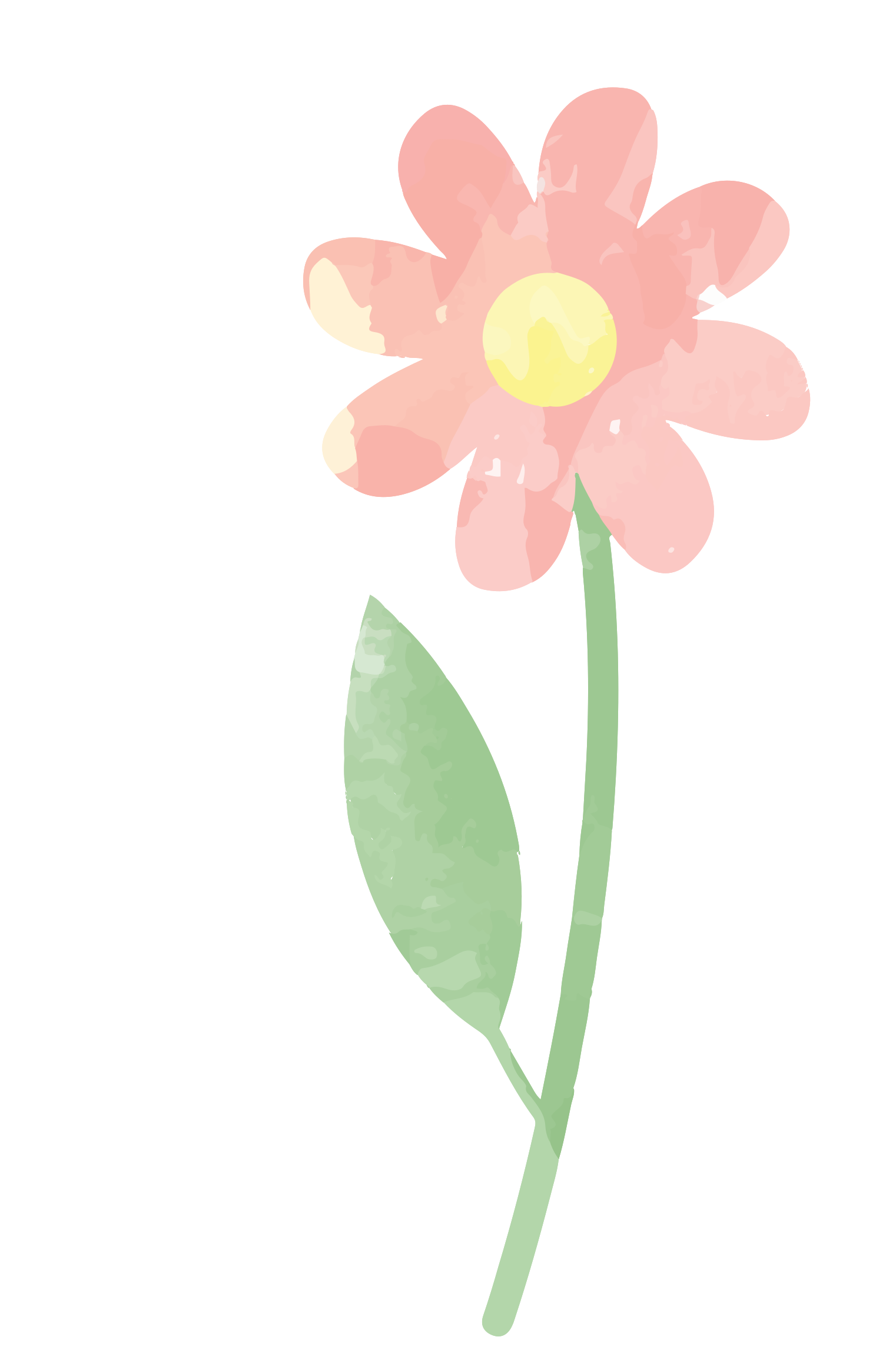 Watercolor Flower Transparent PNG Image