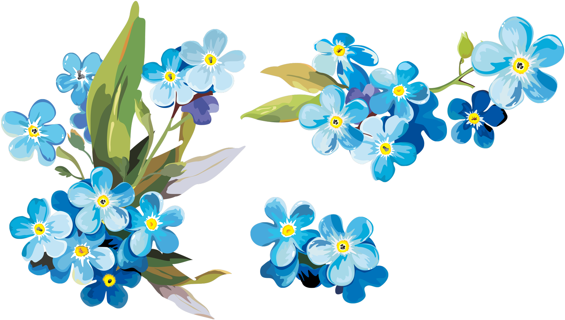 Watercolor Flower Transparent PNG Image
