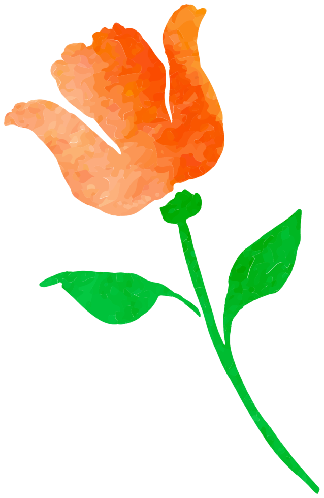Watercolor Flower Transparent PNG Image