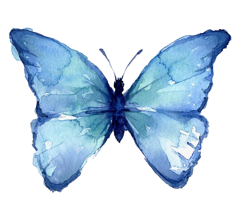 Butterfly Watercolor Art Transparent PNG Image