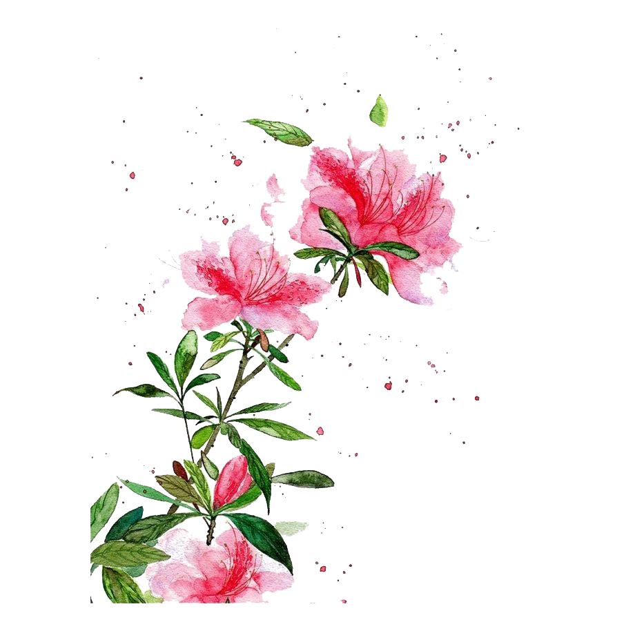 Watercolor Art Transparent PNG Image