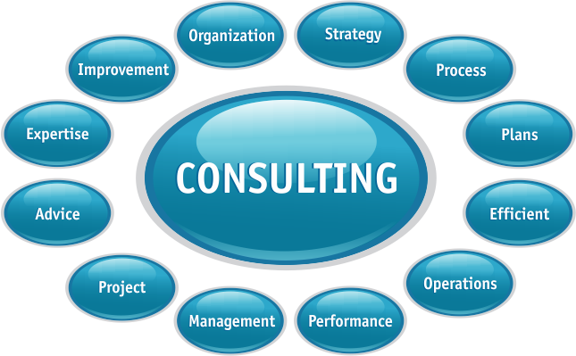 Consultant Transparent PNG Image