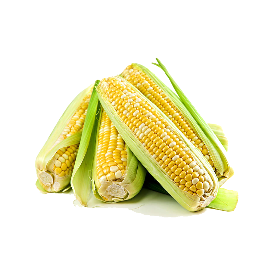 Corn Transparent PNG Image