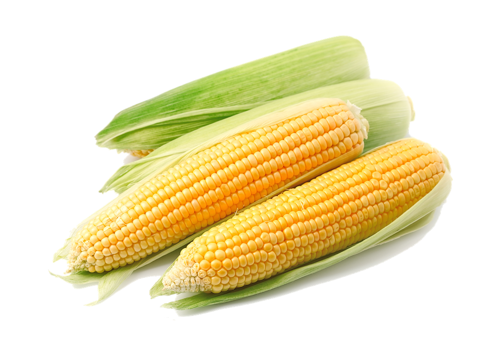 Corn File Transparent PNG Image