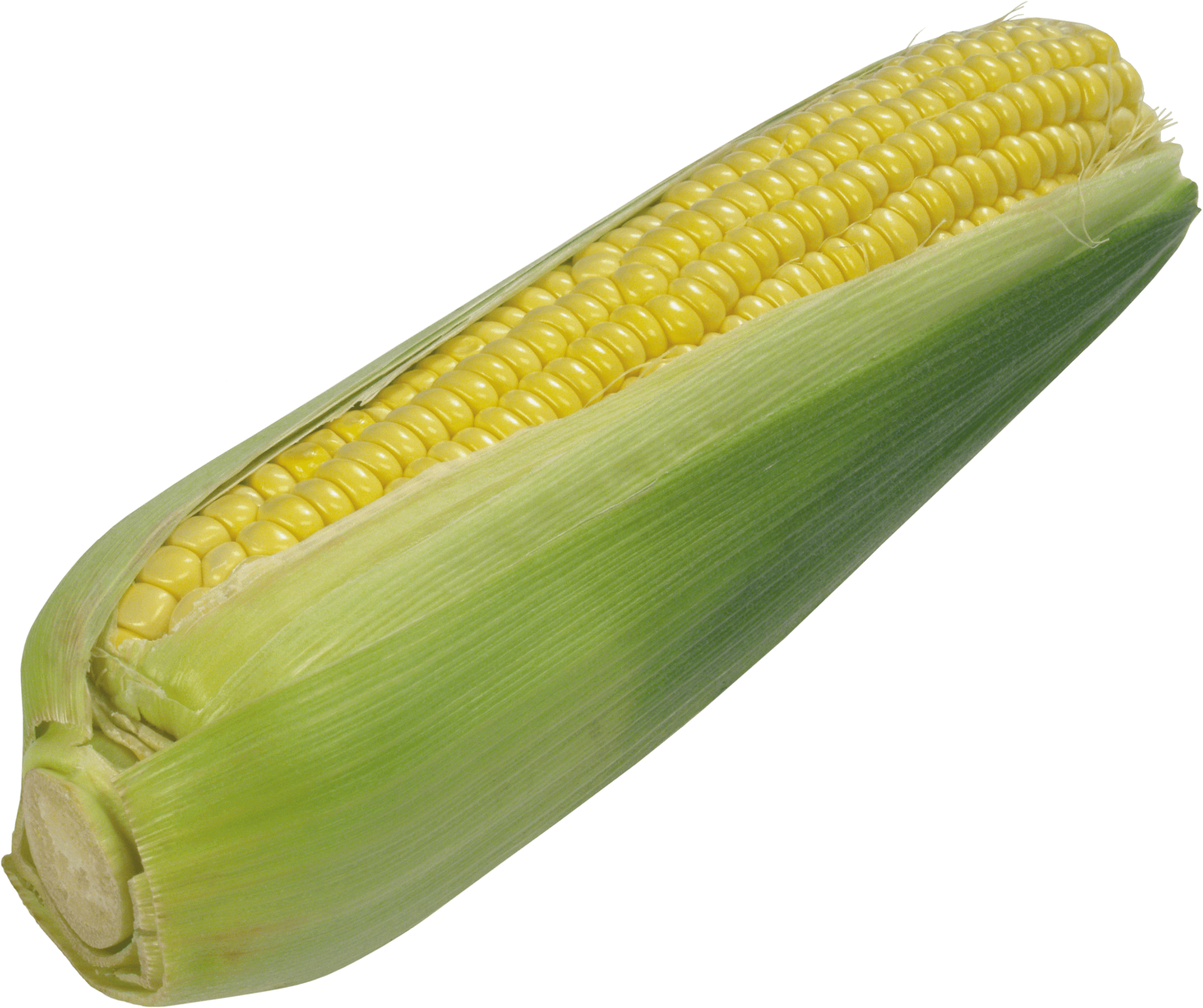 Corn Transparent PNG Image