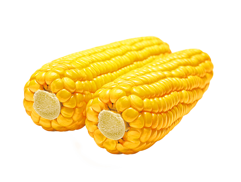 Corn Transparent PNG Image
