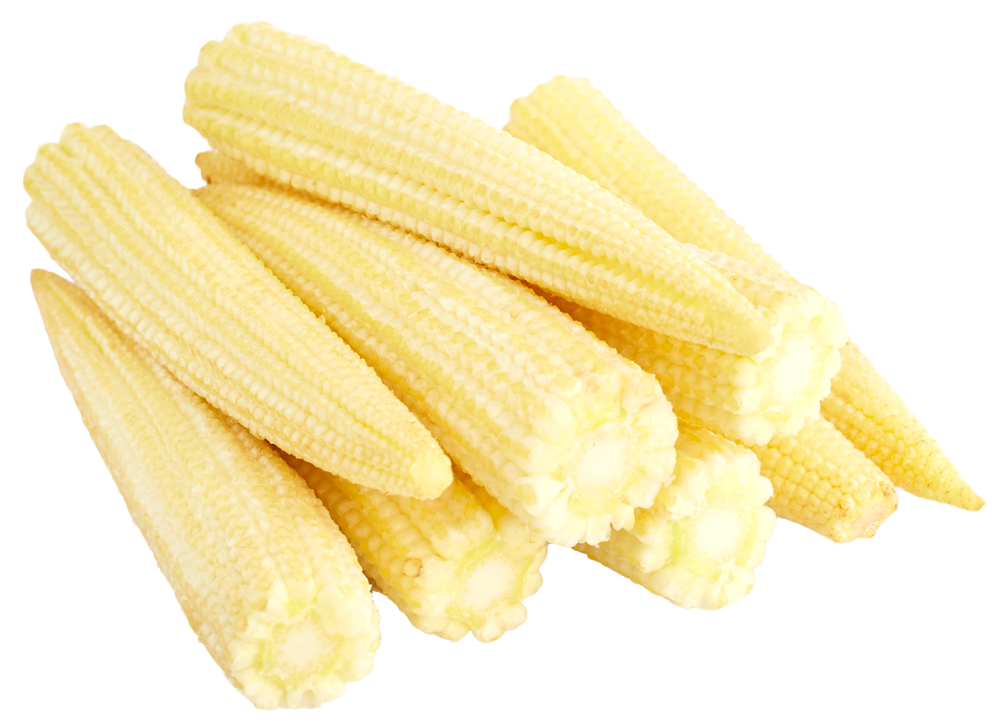 Baby Corn Seeds Cobs File Transparent PNG Image