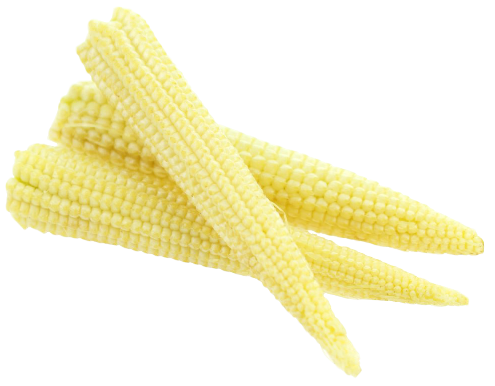 Baby Cornlets Corn Cobs Transparent PNG Image