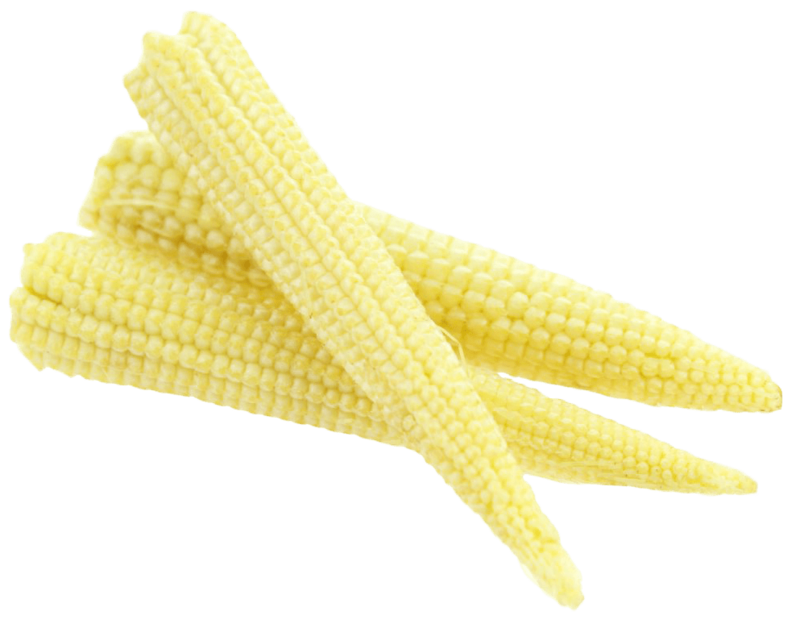 Baby Corn Young Cobs Transparent PNG Image