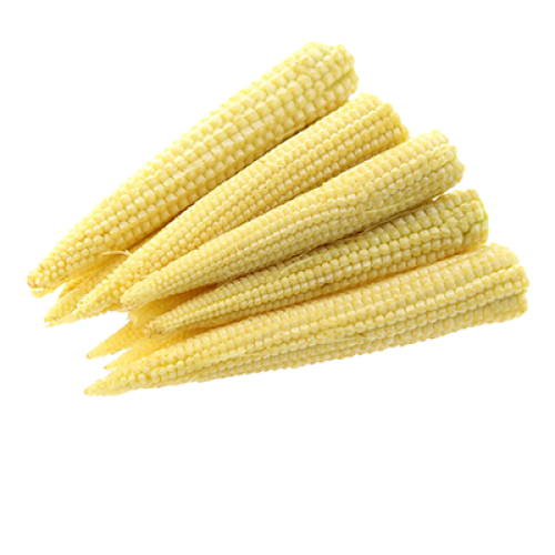 Baby Oraganic Corn Cobs Transparent PNG Image