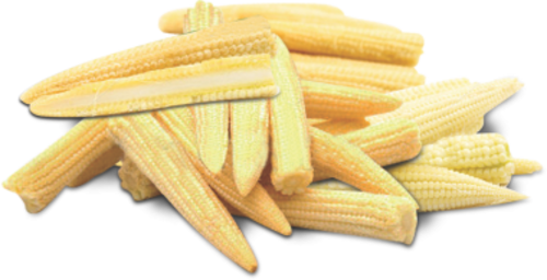 Baby Vegetable Corn Cobs Transparent PNG Image
