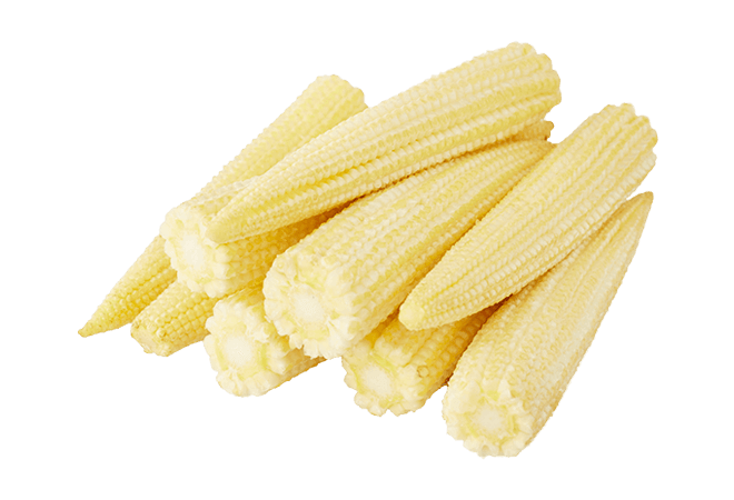 Baby Corn Mature Cobs Transparent PNG Image