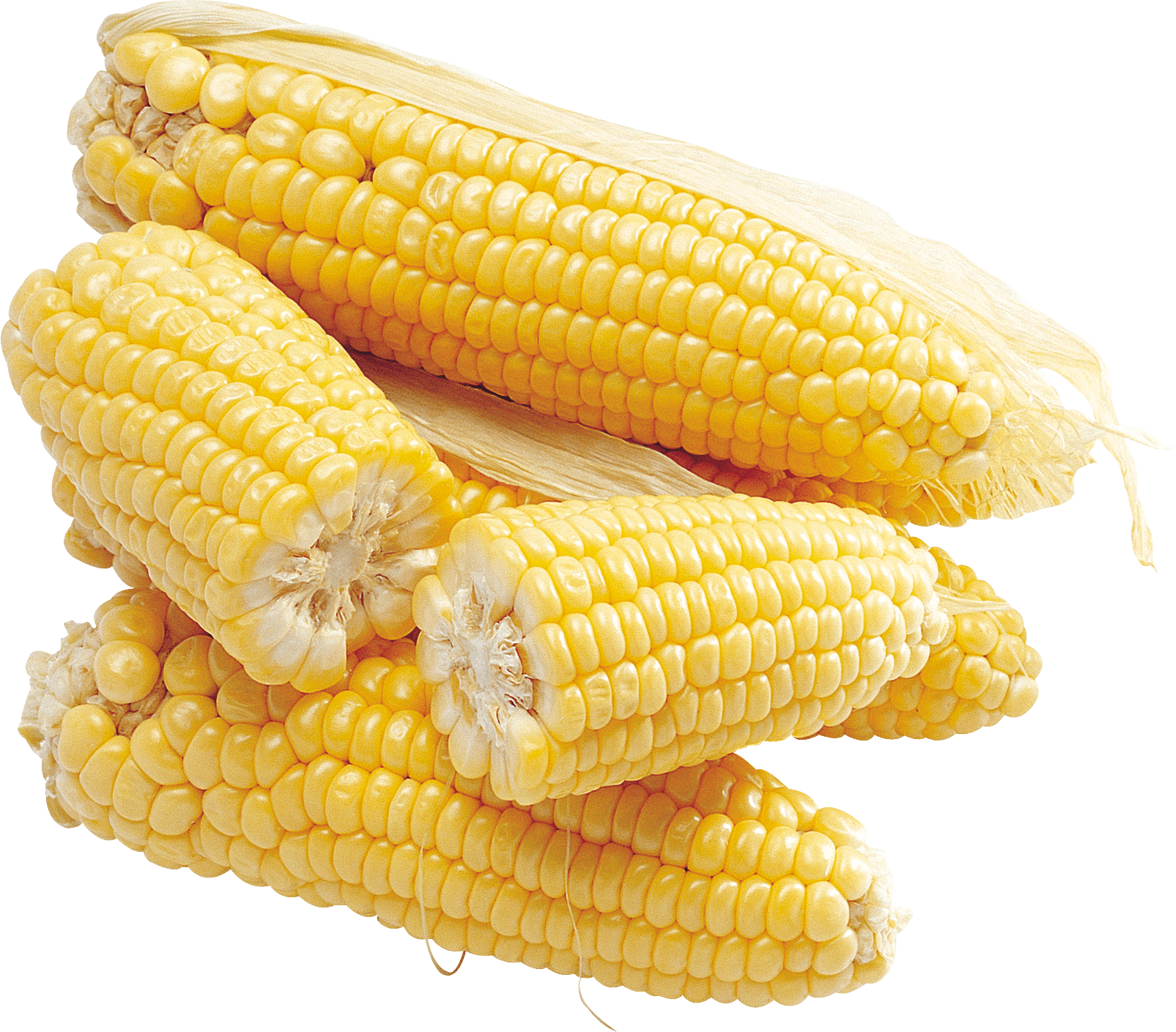 Corn Transparent PNG Image