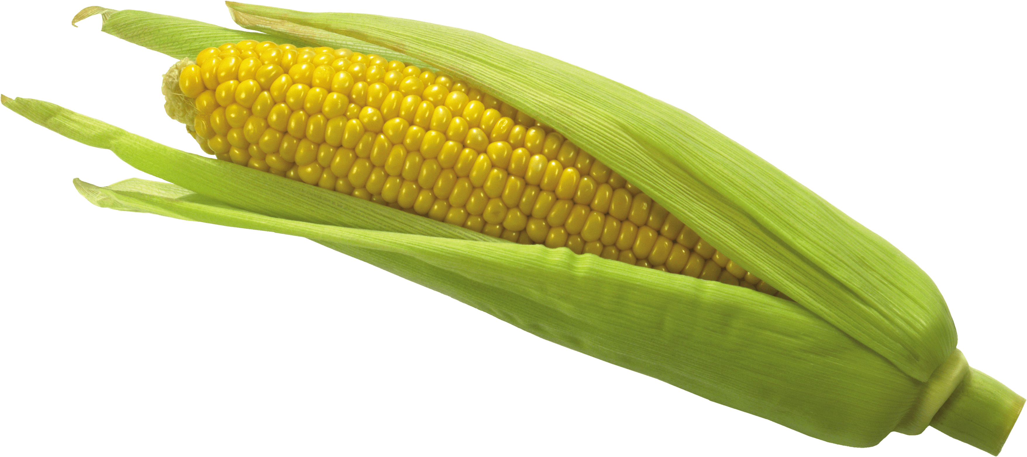 Corn Transparent PNG Image