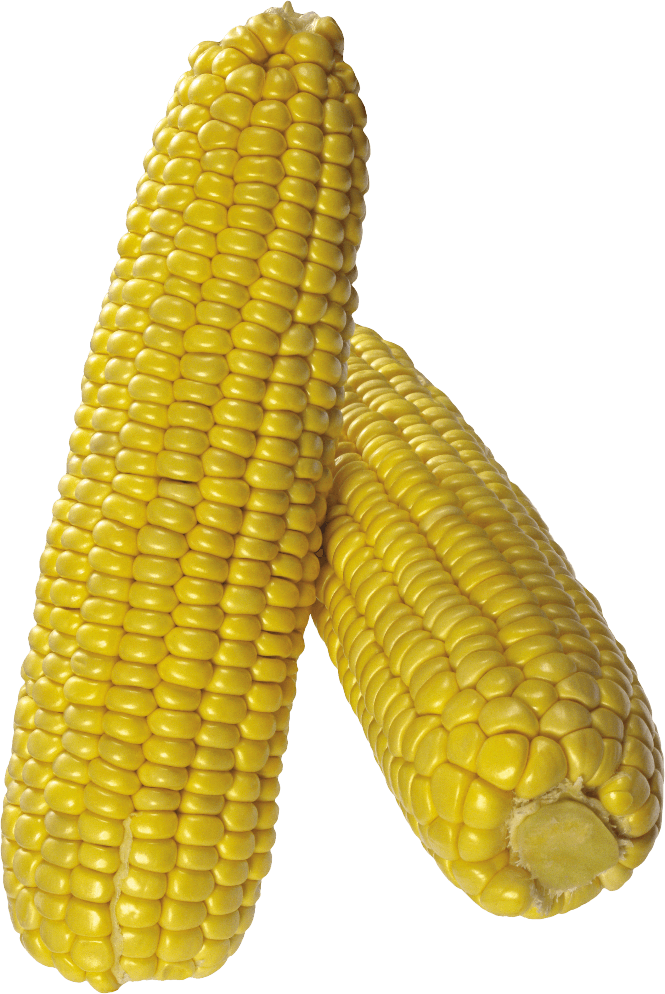 Corn Transparent PNG Image