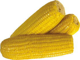 Corn Transparent PNG Image