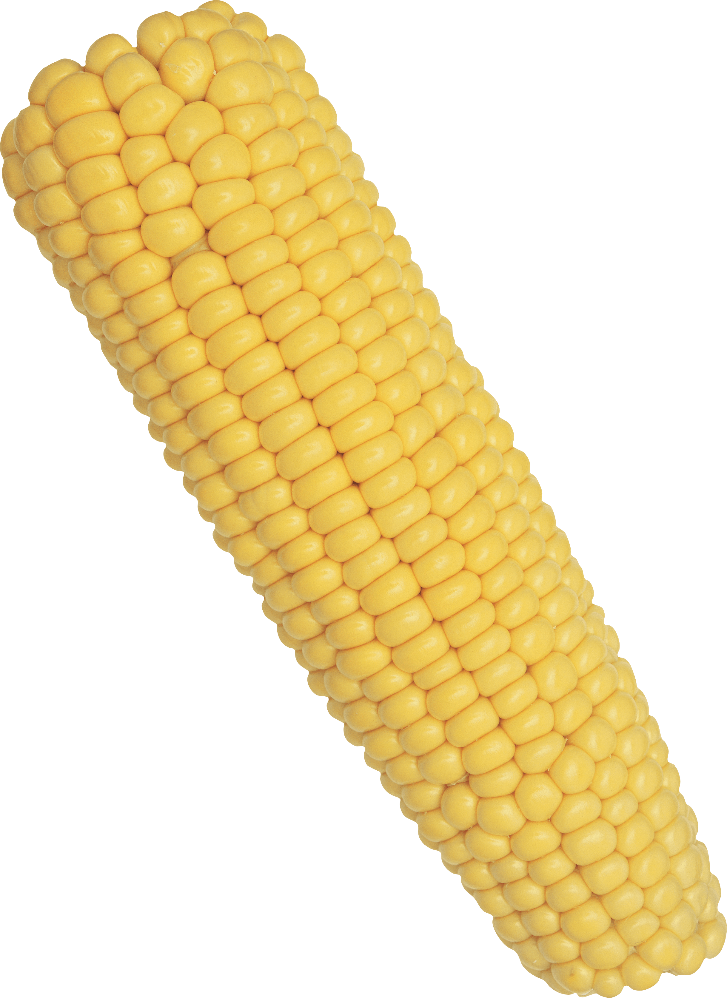 Corn Transparent PNG Image