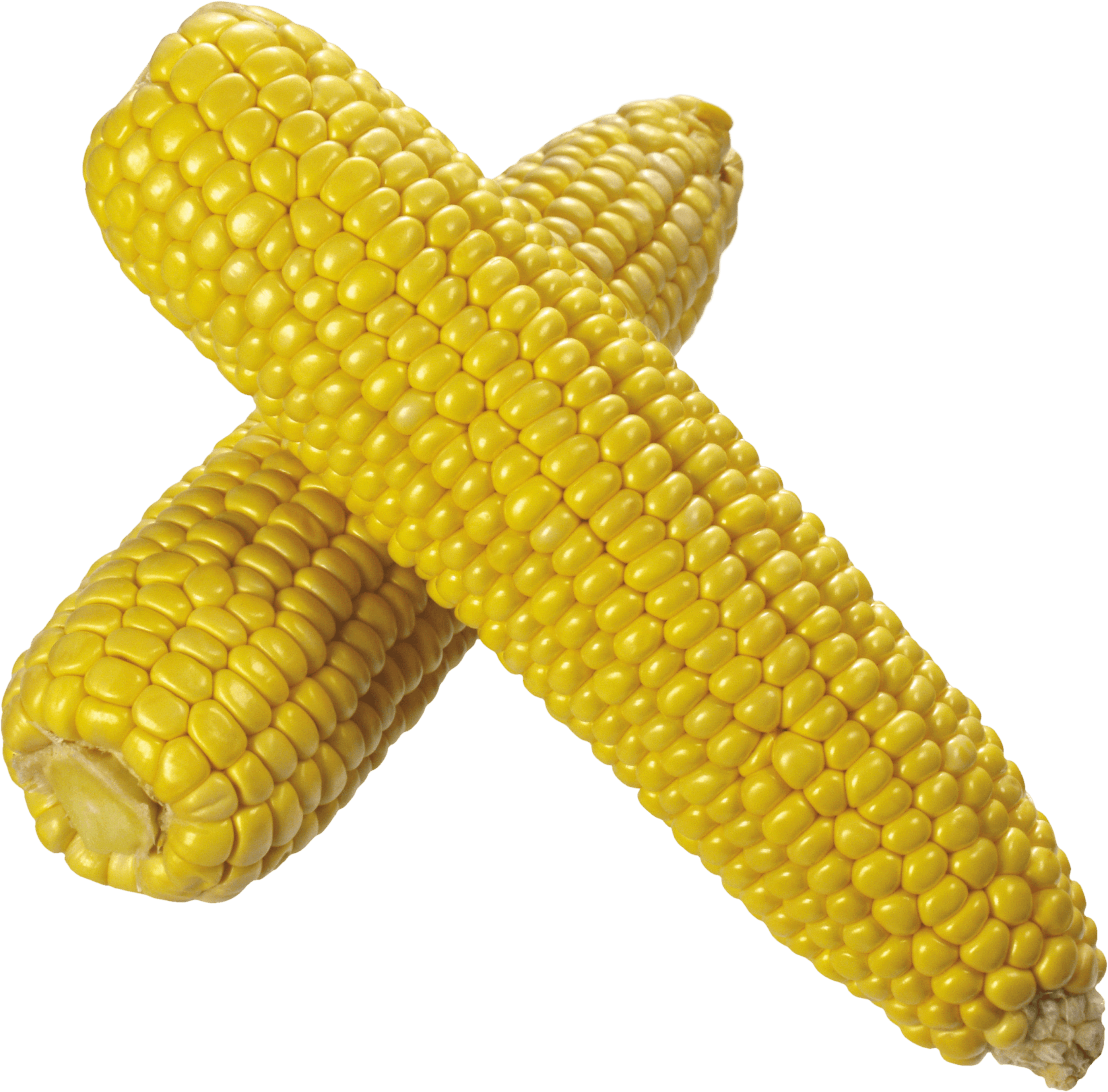 Corn Transparent PNG Image