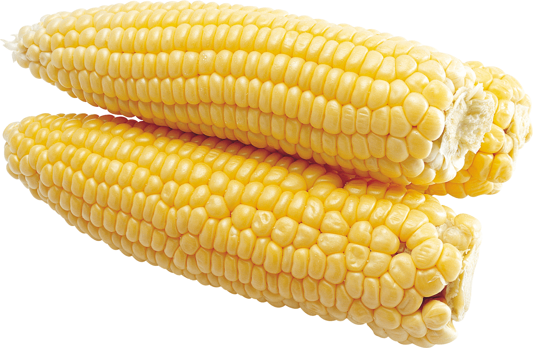 Corn Transparent PNG Image