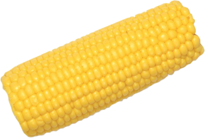 Corn Cob Transparent PNG Image
