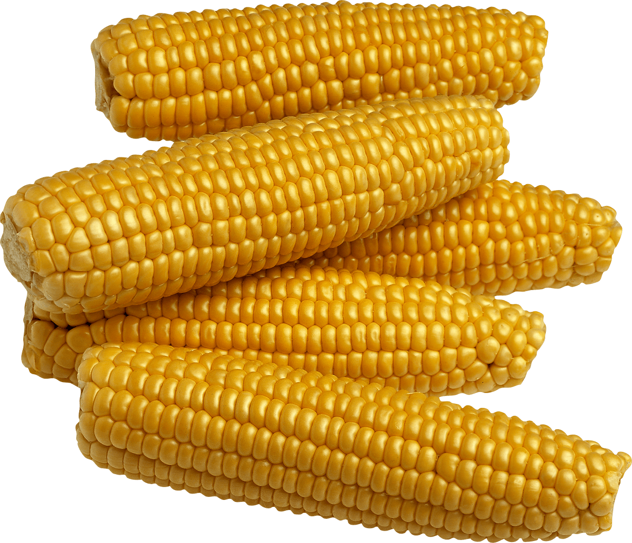 Yellow Corn Transparent PNG Image