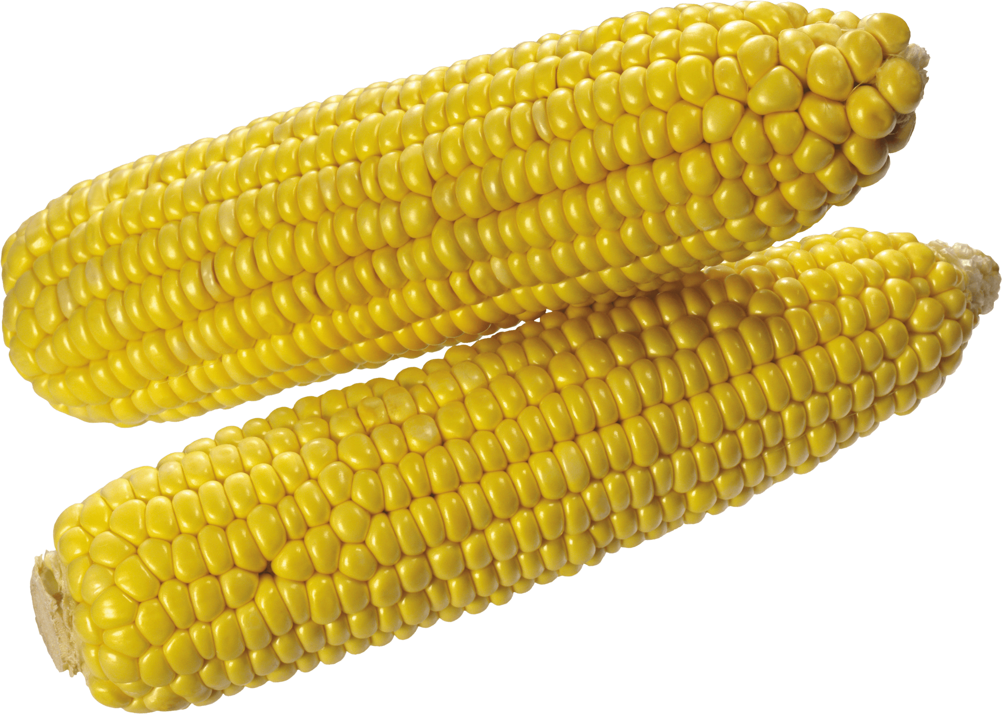 Corn Transparent PNG Image
