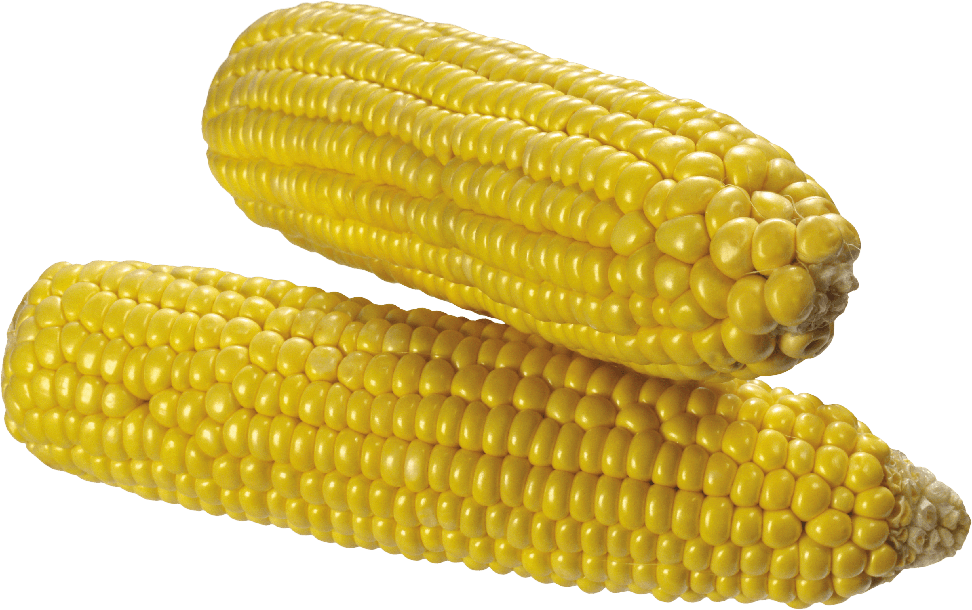 Corn Transparent PNG Image
