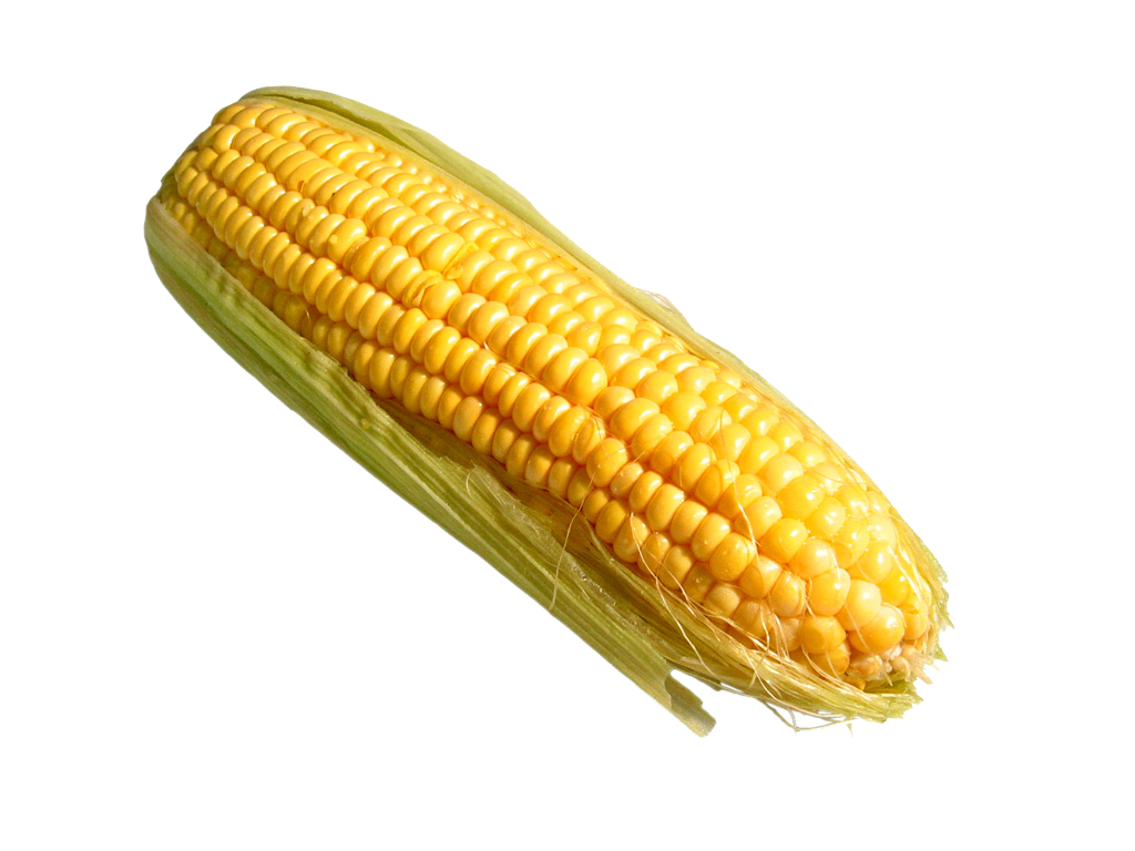 Corn Transparent PNG Image